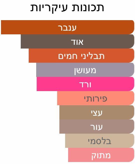 תכונות ריח עיקריות של דוגמית בושם מסוג אומברה נומאד של חברת לואי ויטון
